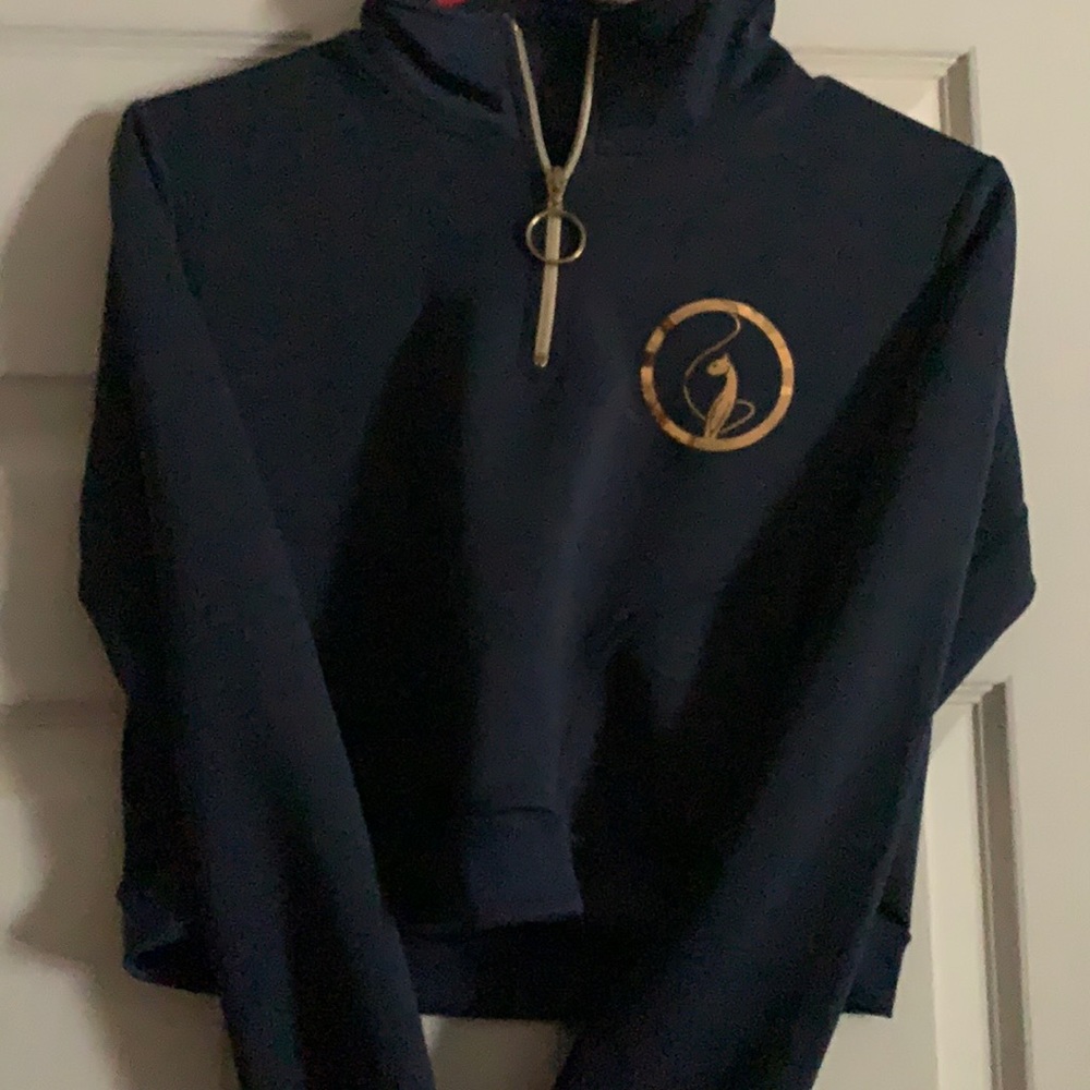 Baby Phat cropped hoodie
